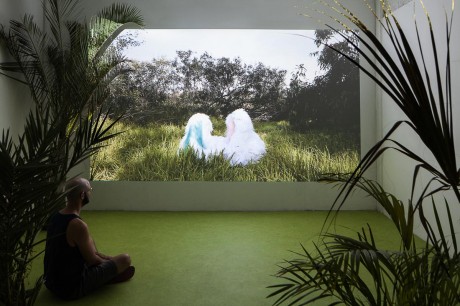 Installation View, In the Shade of the Palm, 2016