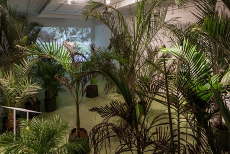 Installation View, In the Shade of the Palm, 2016