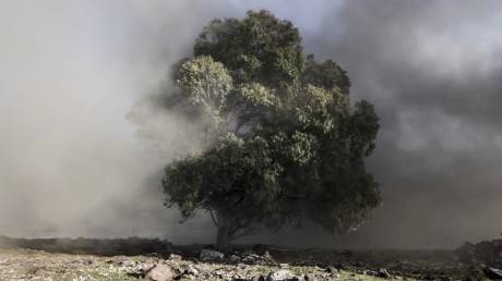 פריים מתוך וידאו