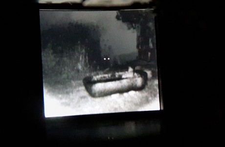 Na’ama Porat, Wild Boar and Water Trough, 2017,digital photograph through night-vision device, 40x60 cm